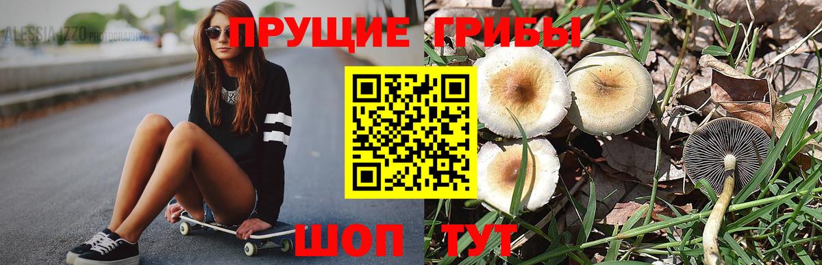 Псилоцибиновые грибы прущие грибы Гусиноозёрск