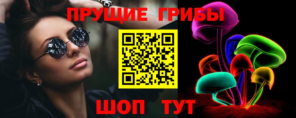 Гусиноозёрск  Галлюциногенные грибы Psilocybine cubensis  даркнет сайт  Вход с VPN 