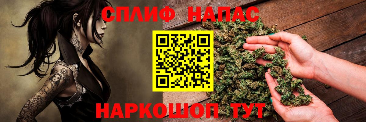Бошки Шишки ГИДРОПОН Гусиноозёрск